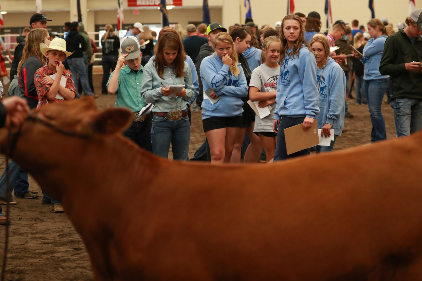 061819_RedAngusJudging15_bjs.JPG